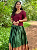 Vichitra silk top with beautiful handwork on neck and narayana patt skirt.
